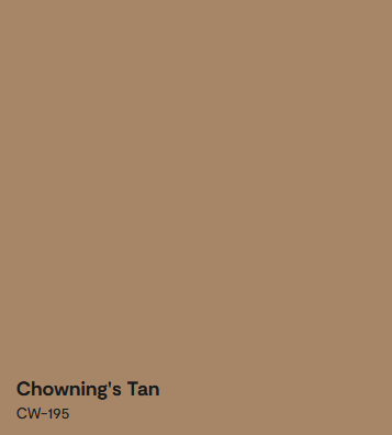 Couleur de Peinture 2025 Benjamin Moore Chowning's Tan Code CW-195