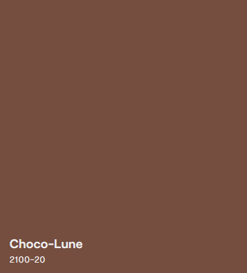 Couleur de Peinture Benjamin Moore 2025 Choco-Lune Code 2100-20