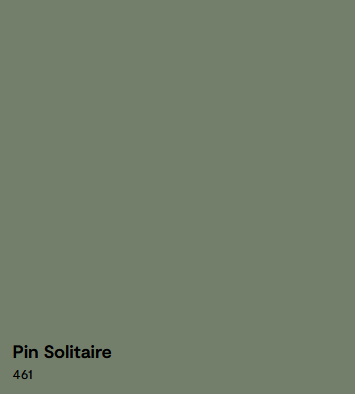 Couleur de Peinture Benjamin Moore 2025 Pin Solitaire Code 461