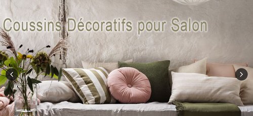 Coussins Décoratifs pour Salon sur un sofa